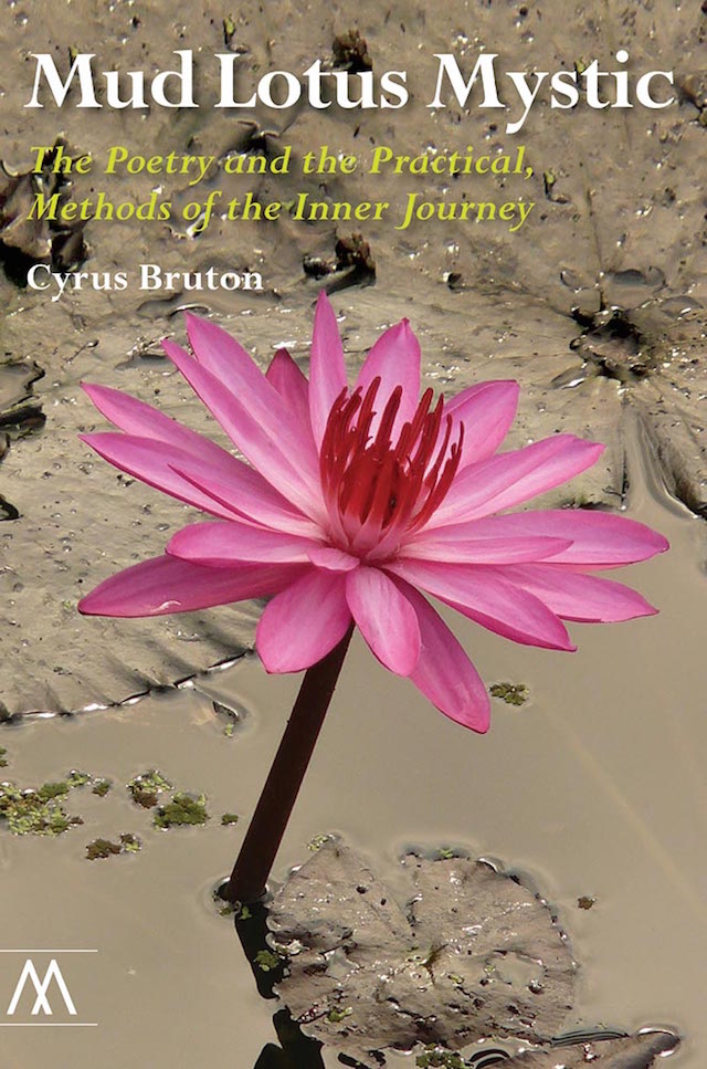 Mud lotus deals
